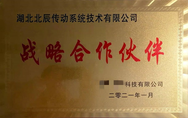 客戶戰(zhàn)略合作伙伴2